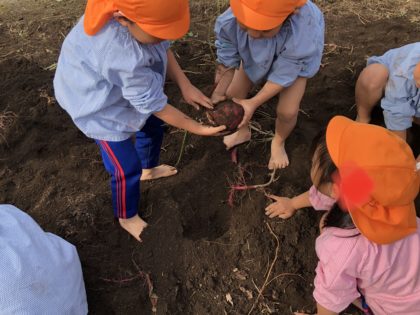 ★１１月★　毎日が充実しています