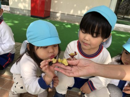 収穫したお芋で焼き芋をしました。甘くておいしくて・・・みんな食べる食べる！！何度もおかわりしました。<br />
畑を管理してくださる方々、焼き芋をしてくださる用務員さんにも感謝しかありません。